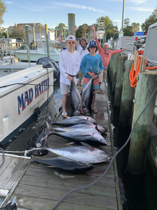 Hook, Line, and Jersey Shine
